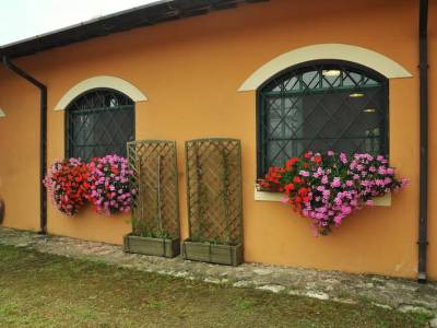 Prato-di-coppola-063_original